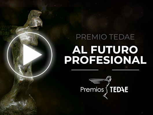 Premios TEDAE - Categoría Futuro Profesional