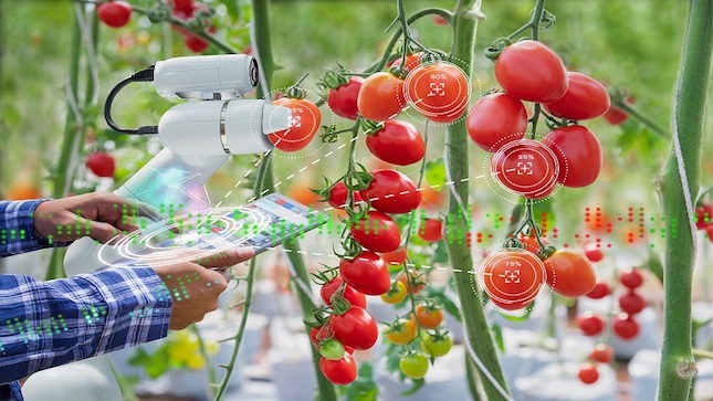 Un consorcio liderado por GMV impulsa la investigación de la aplicación de la IA en la cadena de producción agroalimentaria