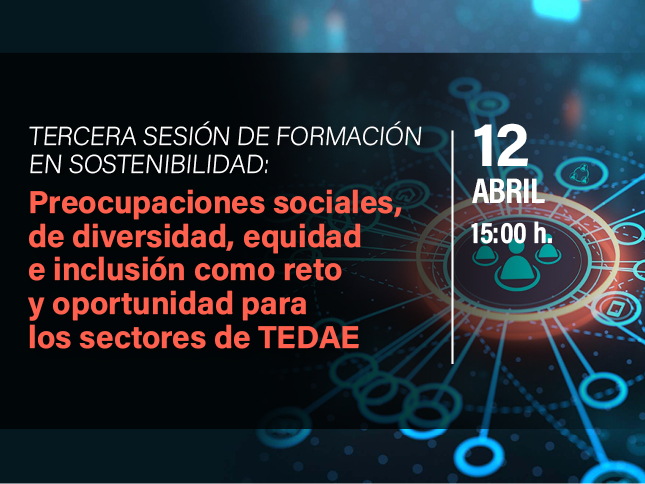 III Formación en Sostenibilidad: Preocupaciones sociales, de diversidad, equidad e inclusión como reto y oportunidad para los sectores de TEDAE